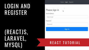 Reactjs Laravel Mysql Build A Login And Registration Web App React Tutorial Web App Explanation Video