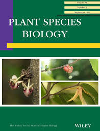 Image result for Polystachya campyloglossa