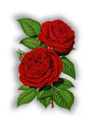 Imagenes Vintage Gratis Free Vintage Images Enero 2012 Flores Flores Pintadas Arte Con Flores