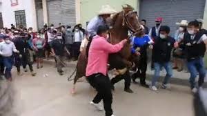 El día 02 de noviembre de 1978 me incorporé a la plantilla del grupo a.p.a. Elecciones 2021 El Caballo Que Montaba Pedro Castillo Se Altera Y Casi Genera Un Accidente Video Rpp Noticias