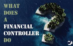Oversee monthly billing of clients; What Does A Financial Controller Do Ca Financial Appointments