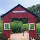 Corn Maze & Mini Golf @ Hicks Family Farm event image