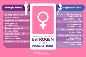 Factors Causing Estrogen Dominance Drjockers Com