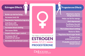 factors causing estrogen dominance drjockers com