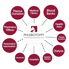 Phlebotomy Training Specialists Phlebotomy Usa