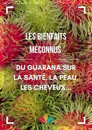 Guarana Proprietes Bienfaits Indications Et Utilisations Natura Force Remedes Naturels Sante La Beaute Naturelle