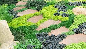 If your looking for an easy way to make a garden stand out or just a low maintenance ground covering then rocks, pebbles and stones are a great way to go. 6 Ideas For Ground Cover Plants
