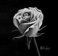 Get drawings of a rose delivered to your door. Realistic Roses Drawings Fine Art America