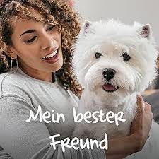 Cesar Junior Wet Dog Food for Puppies and Young Dogs <1 Year with Turkey &  Veal in Pate, 14 Bowls (14 x 150 g), 2100 g : Amazon.de: Pet Supplies