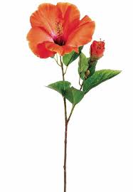 Check spelling or type a new query. Silk Flowers Hibiscus Spray In Orange Coral 26 Tall In 2021 Tropical Artificial Flowers Silk Flowers Hibiscus Plant
