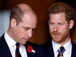 Prince Harry's reason for snubbing William as he plans to see King Charles 