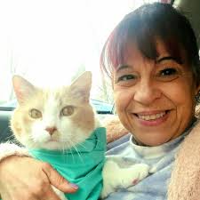 THE BEST 10 PET SITTING near FISHKILL, NY 12524