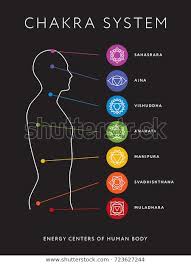 Chakra System Human Body Chart Seven Stock Vector Royalty