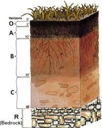 Check spelling or type a new query. Earth Science For Kids Soil