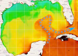 Current Temperature Of The Gulf Of Mexico Gulf Of Mexico