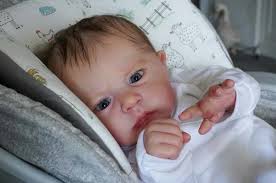 60CM Reborn Baby Doll Cameron Hand-drawing Hair Hand-detailed Painting Real  Soft Touch Cuddly Baby Doll Boneca Bebe