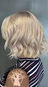Sliver Hair Video Hair Highlights Hair Color Bleached Hair