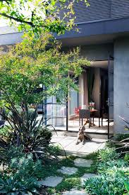 A Multi Functional Family Garden Family Garden Melbourne Garden Screen Plants