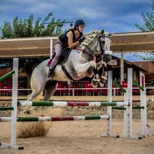 Offizielle seite des deutschen verbandes für modernen. Reiten Und Reiten In Hommter Reitaktivitaten
