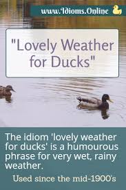 'water off a duck's back'. Lovely Weather For Ducks Idioms Online