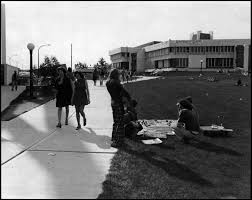 FOMA 33: The Indoor University