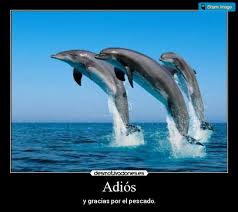 guia del autoestopista galactico the hitchhiker s guide to the galaxy de douglas adams underwater animals bottlenose dolphin dolphins