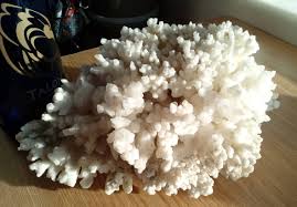 Huge 5 Pound Aragonite Calcite Cave Cluster Huge 5 Pound Piece Etsy Crystals And Gemstones Crystals Calcite