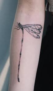 Bagi anda yang baru saja memili usaha wifi dan bingung tentang bagaimana cara mengganti password indihome, maka dengan menggunakan username dan password ini anda dapat menggantinya dengan mudah. 16 Meaningful Dragonfly Tattoos That Show Your Ever Changing Spirit You Know That Life Is Full Of Changes And Yo Tattoos Body Art Tattoos Meaningful Tattoos