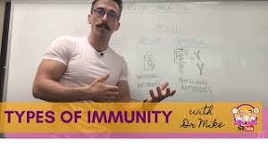 Instead, it signals those cells to become active. Four Types Of Immunity Youtube