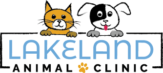 See more of companion animal hospital lakeland on facebook. Veterinarian Animal Hospital In Lakeland Fl Call Us Today