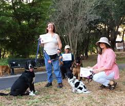 Explore other popular pets near you from over 7 million businesses with over 142 million … Positively Simple Dog Training Puppy Adult Dog Training Classes Private Lessons Boarding In Home Board And Train Positive Dog Cat Behavior Training Puppy Kindergarten