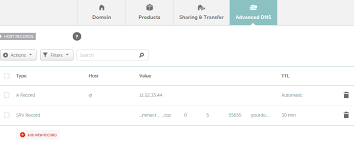 How Can I Link My Domain Name To A Minecraft Server Domains Namecheap Com