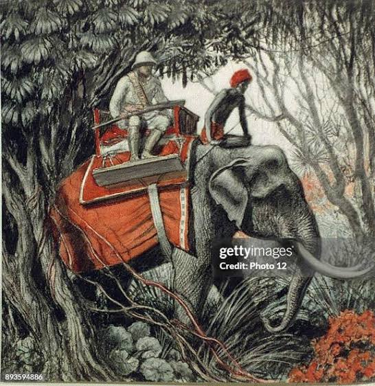 Tiger hunting in Indian jungle, late 19th-early 20th century White... News Photo - Getty Images
