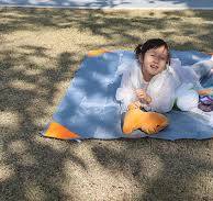 Amazon.com: Orga'Neat Pocket Picnic Blanket, Beach Mat ...