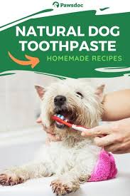 Diy Dog Toothpaste 2 Easy Recipes How To Make It At Home In 2020 Dog Toothpaste Diy Dog Toothpaste Dog Care