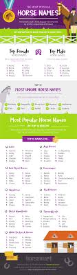 Category:slovak diminutives of female given names: Infographic The Uk S Most Popular Horse Names Horse Nation