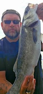 We all love a big tope run or a hound but sumin special about a bar of  silver