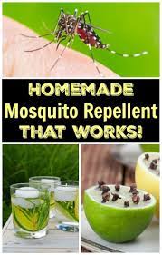 How To Make Natural Homemade Mosquito Repellent With Only 5 Ingredients Mosquito Repellent Homemade Mosquito Repellent Candle Diy Mosquito Repellent