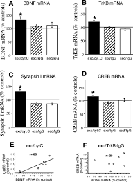 Imx.to / star sessions these pictures of this page are about:secret star lisa sessions. Hippocampal Bdnf Mediates The Efficacy Of Exercise On Synaptic Plasticity And Cognition Vaynman 2004 European Journal Of Neuroscience Wiley Online Library