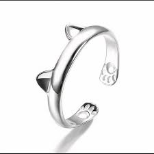 Résultat de recherche d'images pour "LA BAGUE"