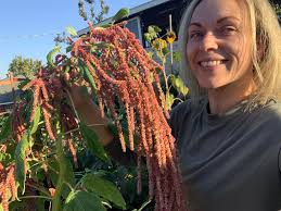 Gardening successes and water bill concerns in hot weather