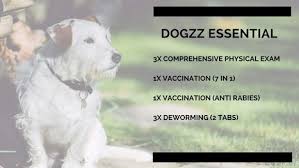 Dog boarding, dog walking, house sitting Dog Doctor Near Me Off 64 Www Usushimd Com