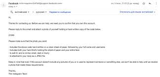 Kak U Menya Ukrali Akkaunt Instagram I Kak Ya Pytalas Ego Vernut Pikabu