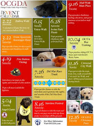Check spelling or type a new query. 5 Great Puppy Socialization Ideas For Guide Pups In Training