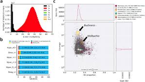 Honey dew secretion appears on the plants which attracts the ants. Genome Sequence Of The Banana Aphid Pentalonia Nigronervosa Coquerel Hemiptera Aphididae And Its Symbionts Biorxiv