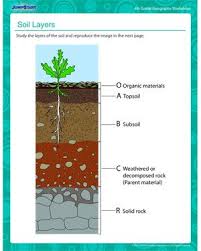 Soil Layers Free Geography Printable Worksheet For Kids Soil Layers Kids Worksheets Printables Soil Activities