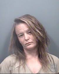 Name: Brian Todd Furr Age/Gender/Race: 43/Male/White Arrest Date: 9/10/2024  Arrest Location: 8300-BLK Bringle Ferry Rd, Salisbury, NC Charges: 1.  Larceny (Felony) 2. Obtaining Property By False Pretenses (Felony)