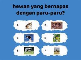 We did not find results for: Siswa Sd Nastavna Sredstva