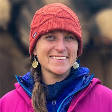 Dryland Watersheds in Flux: How Nitrogen Deposition and Changing  Precipitation Regimes Shape Nitrogen Export