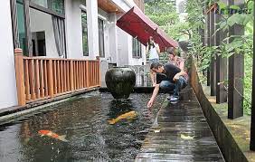 Desain kolam ikan depan rumah yang dipenuhi dengan tanaman air yang bisa memberikan pasokan oksigen bagi ikan. 50 Desain Kolam Ikan Minimalis Dan Gambar Terbaik 2021 Arisiteki